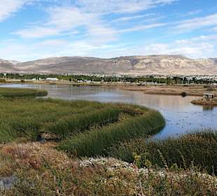 Naturschutzgebiet Laguna Nimez