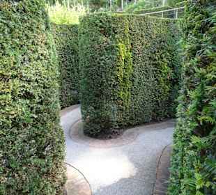 Im Labyrinth der Trauttmansdorffer Gärten