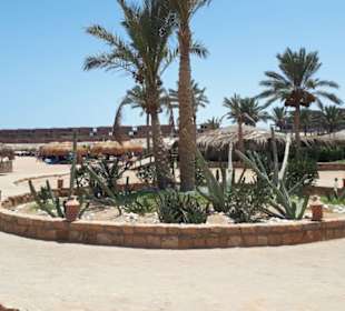 Sharm el Naga