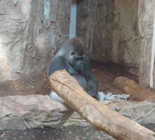 Zoo Warszawa