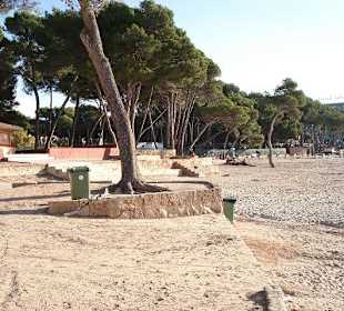 Platja Tora