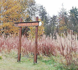 Schwarzes Moor