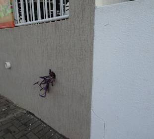 Stadtrundgang Foz do Iguacu