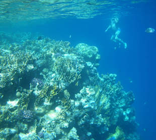 Schwimmen macht Spass, schnorcheln noch mehr!