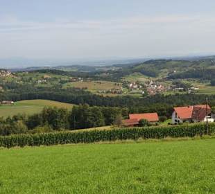 Waldschach, St.Nikolai, Wildoner Berg