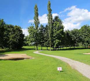 Hügeliges Gelände mit Bäumen