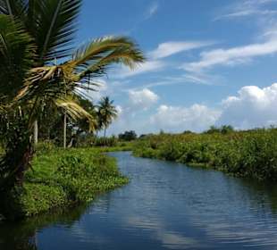 Cabarete Lagune