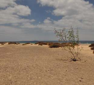 Weg zum Strand