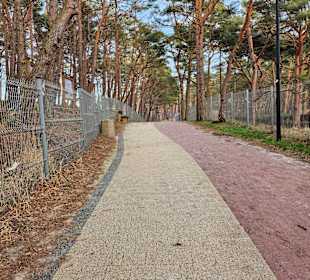 Wandern Dzwirzyno