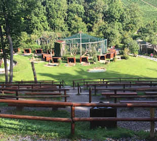 Tribüne der Flugshow