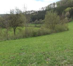 Premiumwanderweg Hochgebürzelt