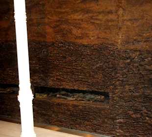 Die Ausstellung "Moor" im Landesmuseum