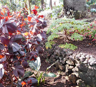 Quinta Vigia