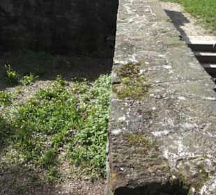 Burgruine Hohenstaufen