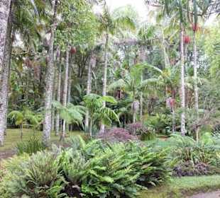 Parque Terra Nostra