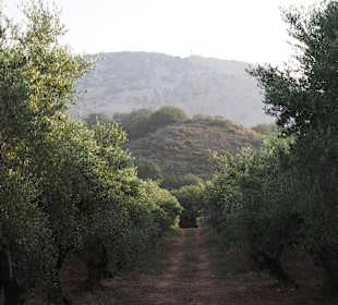 Wandern Georgioupolis