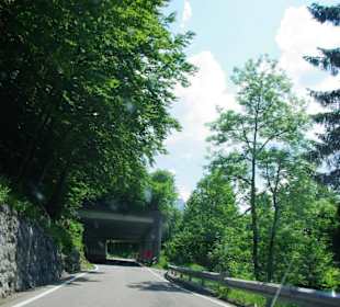 Auffahrt Plöckenpasse im Juni