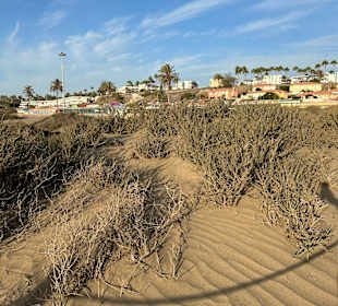Dünen von Maspalomas