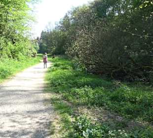 Premiumwanderweg Hochgehschätzt