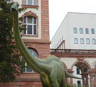 Naturkundemuseum Senckenberg