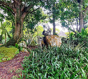 Botanischer Garten