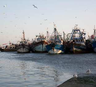 Widok na port w Essaouira