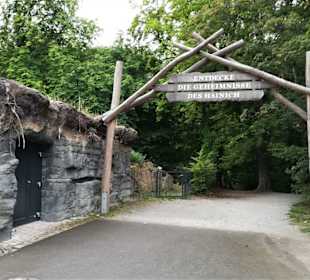 Der Eingang