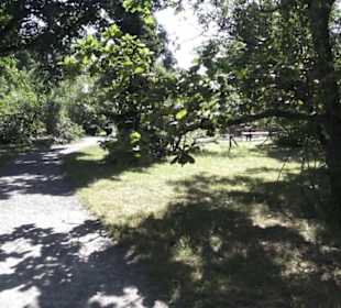 Botanischer Garten