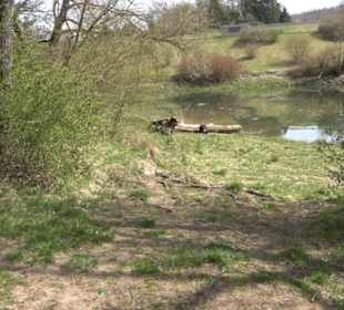 Totenbachsee