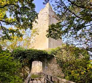 Eingang zur Burgruine Rauheneck