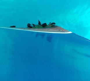 Bitte einfach raten !!!