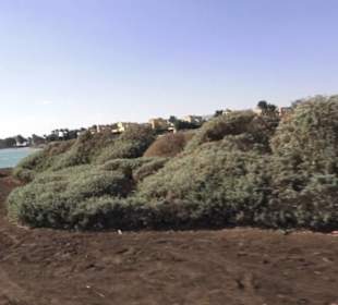 Stadtrundgang El Gouna