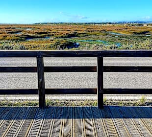 Der Weg ist das Ziel