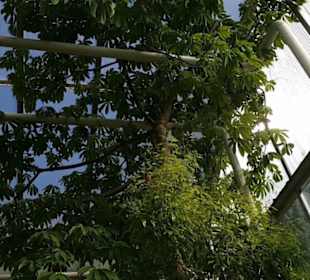 Botanischer Garten