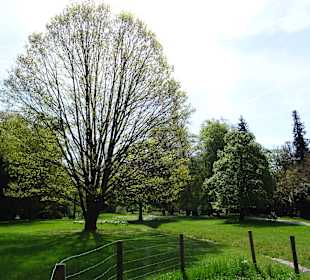 Garten Hohenheim