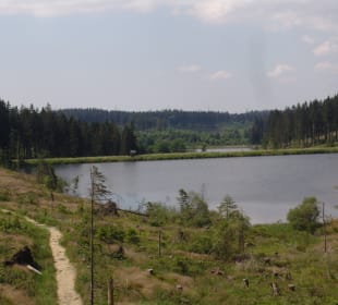 Entlang der Auerhahnkaskaden