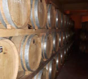 Führung Weinkellerei Boutari