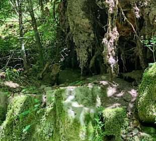 Wandern Hinterzarten