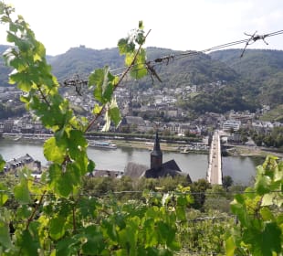 Ausblick