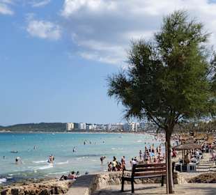 Strand Cala Millor