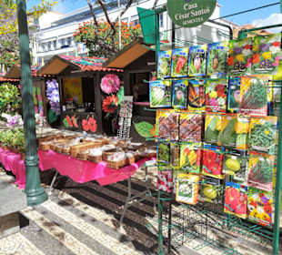 Impressionen vom Blumenfestival in Funchal