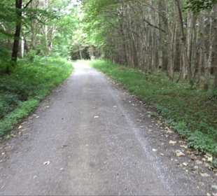 Sonnenaufgangs-Rundwanderung Rübgarten