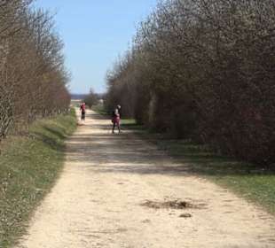 Premiumwanderweg "hochgeblickt"