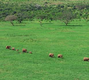 Tsavo East Wasserloch Voi Lodge
