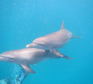 Unsere Freunde fast hautnah