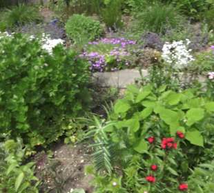 Benediktinerkloster Lorch