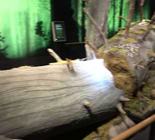 Naturparkzentrum Ruhestein