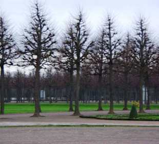 Der Schlossgarten im Winter