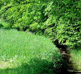 Impressionen vom Rundweg durch den Park
