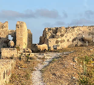 Wanderung von Kardamena zur Festung Antimachia